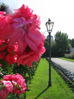 IMG_7205.JPG