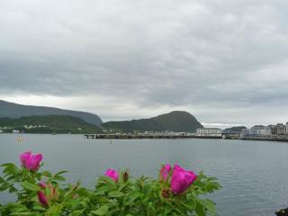 P1440742.JPG