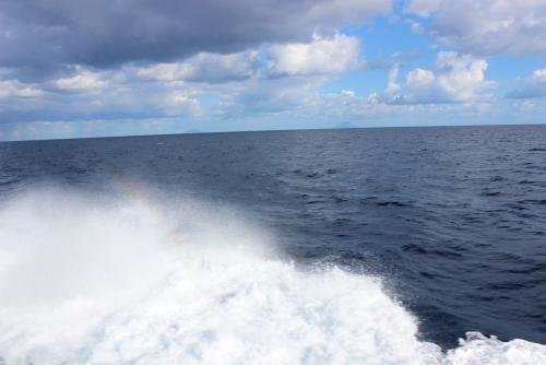 Изображение 1541.jpg