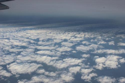 Изображение 008.jpg