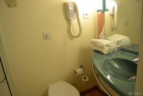 ибис брон1.jpeg