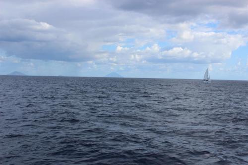 Изображение 1552.jpg