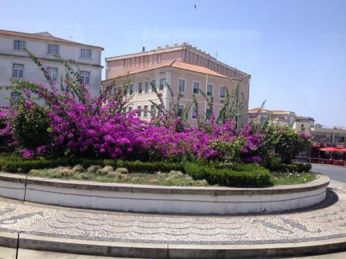 IMG_2163.JPG