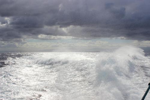 Изображение 1558.jpg