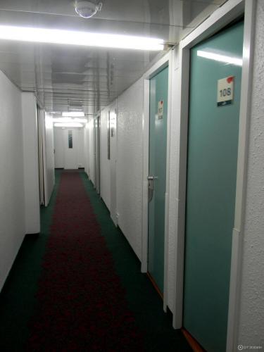 ибис брон3.jpeg