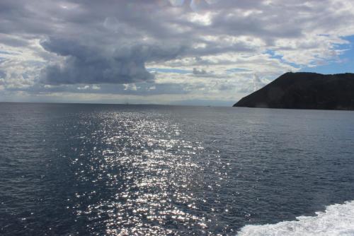 Изображение 1585.jpg