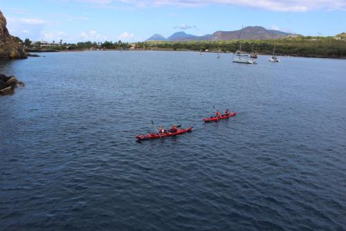 Изображение 1580.jpg