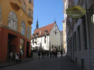 Таллинн апр 2009 029.jpg