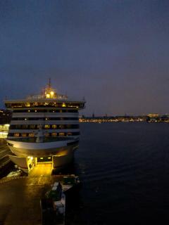 СКАНДИЯ янв 2012 - 3 019.jpg
