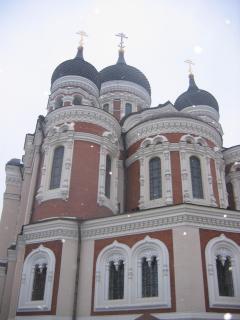 IMG_7482.JPG
