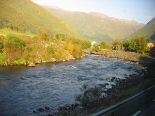 N3.JPG