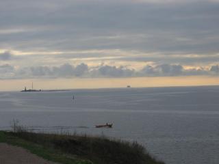 IMG_5123.JPG