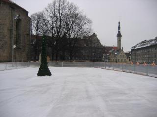 IMG_7544.JPG