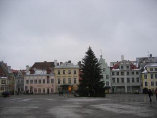 IMG_7528.JPG