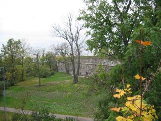 IMG_5094.JPG