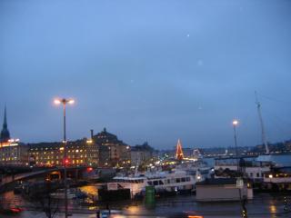 IMG_7391.JPG