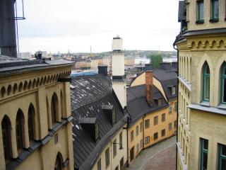 сток смотр8.JPG