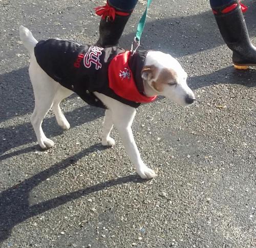 2016-02-08 20.48.07.jpg