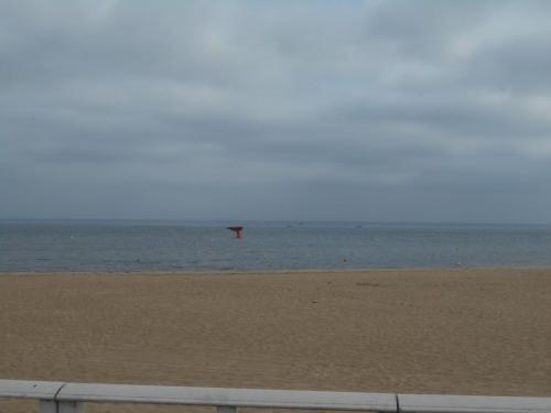 DSCN2526.JPG