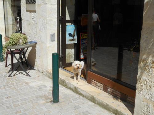 DSCN2270.JPG