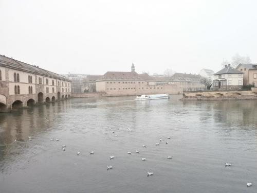 P1011256.JPG