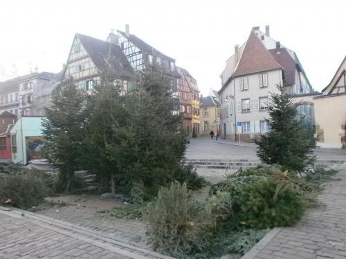 P1011464.JPG