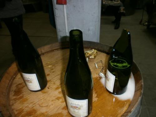 P1011507.JPG