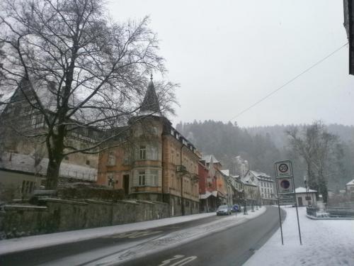P1011622.JPG
