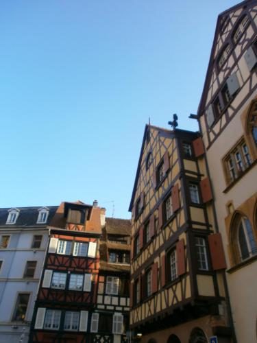 P1011444.JPG