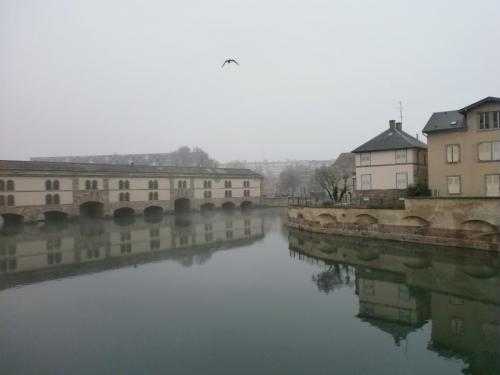 P1011179.JPG