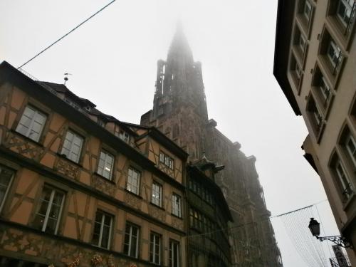 P1011230.JPG