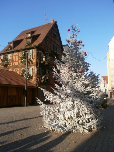 P1011422.JPG