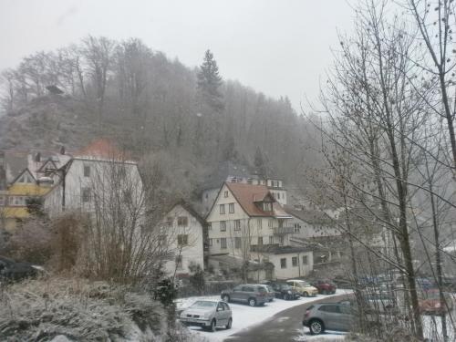 P1011621.JPG