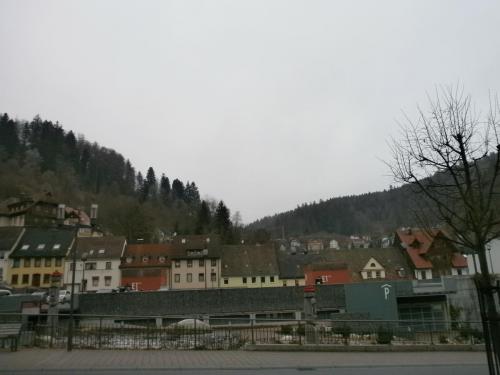 P1011573.JPG