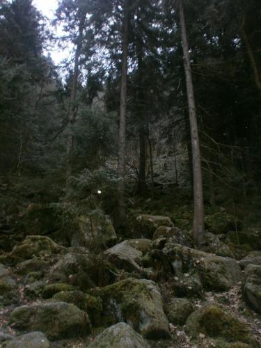 P1011603.JPG