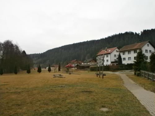 P1011560.JPG