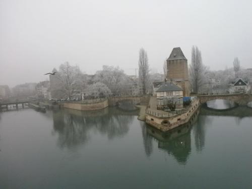 P1011252.JPG