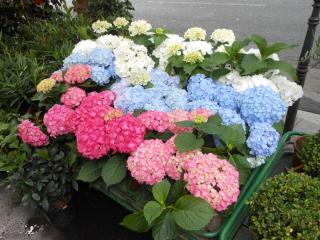 DSCN1124.jpg