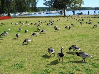 DSCN3849.JPG