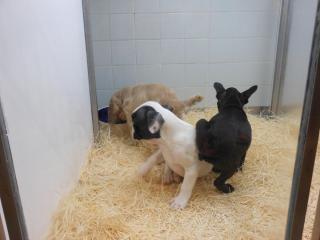 DSCN1136.jpg