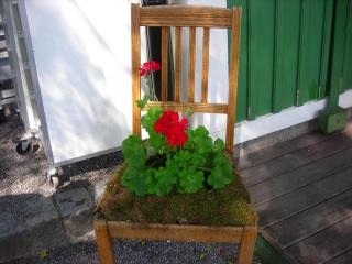 DSCN0463.JPG