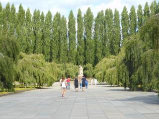 DSCN7675.JPG