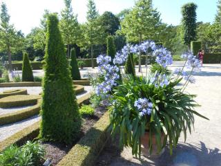 DSCN4818.JPG