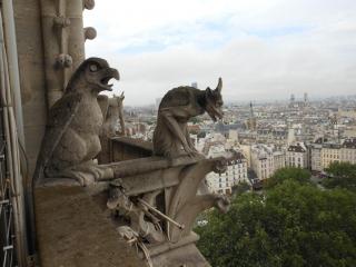 DSCN1104.jpg