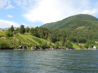 DSCN4233.JPG