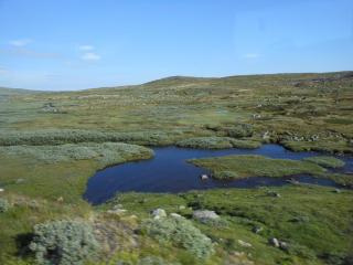 DSCN4304.JPG