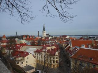 DSCN7383.JPG