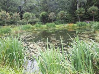 DSCN5172.JPG