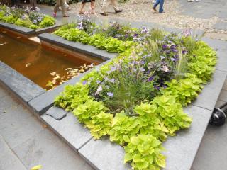 DSCN3703.JPG