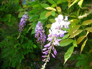 DSCN9763.JPG